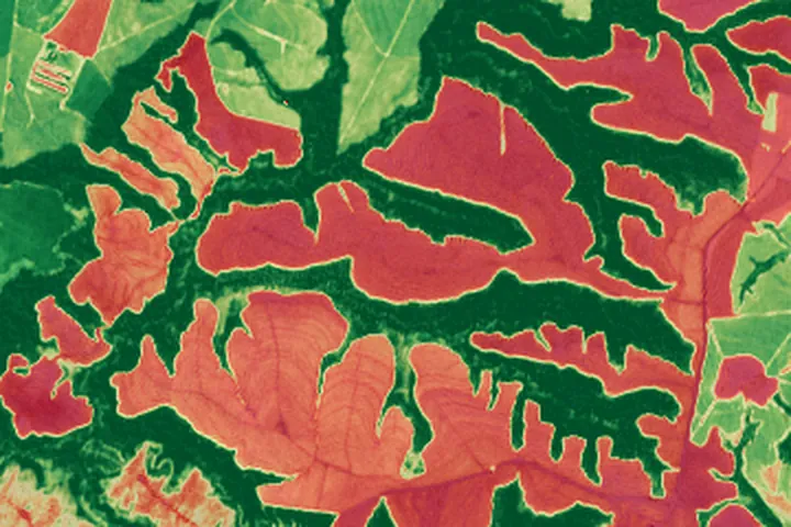 Índice de vegetação (NDVI) calculado com bandas do Sentinel-2, mostrando o vigor da cobertura por talhão.
